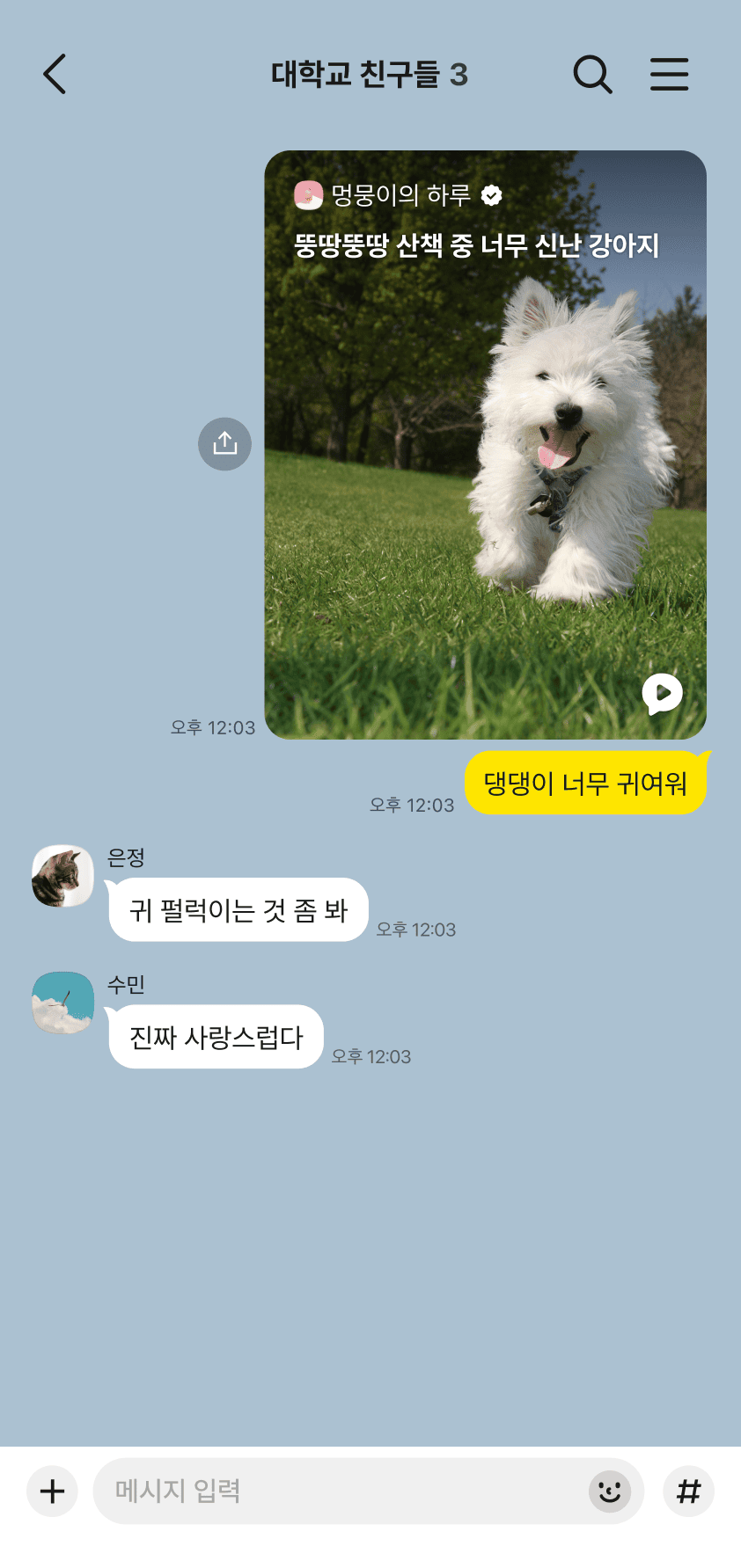 카카오톡에서 함께 즐기는 숏폼